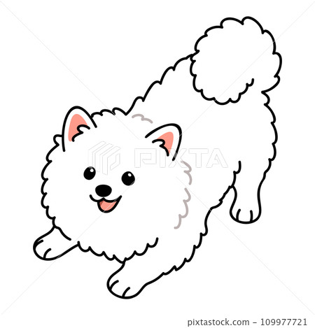 邀請您玩耍的白色斯皮茨的簡單可愛插圖,帶有主線 邀請您玩耍的白色斯皮茨的簡單可愛插圖,帶有主線 109977721