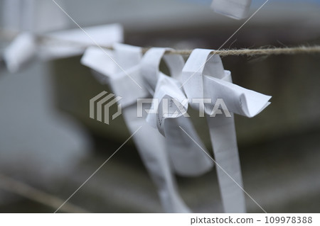 Omikuji tied 109978388