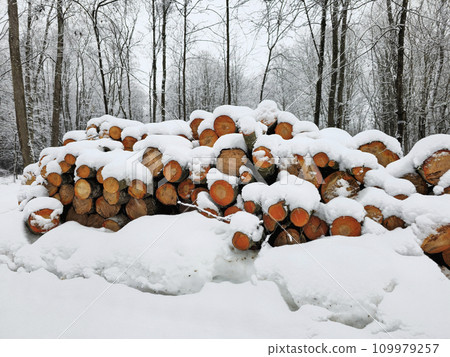 Firewood under the snow. Wooden logs and firewood under snow in the winter forest. Firewood under the snow. Wooden logs and firewood under snow in the winter forest. 109979257
