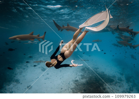 Slim woman snorkeling in a clear tropical water with nurse sharks in Maldives Slim woman snorkeling in a clear tropical water with nurse sharks in Maldives 109979263