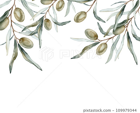 Watercolor banner with green and black olive leaves branches. Olive in bouquet. Decorative element for greeting card. Illustration frame. Pure vegan seasoning. Watercolor banner with green and black olive leaves branches. Olive in bouquet. Decorative element for greeting card. Illustration frame. Pure vegan seasoning. 109979344