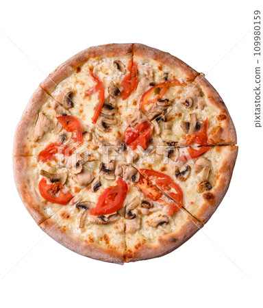 Delicious pizza with chicken, tomatoes and cheese with salt and sauce Delicious pizza with chicken, tomatoes and cheese with salt and sauce 109980159