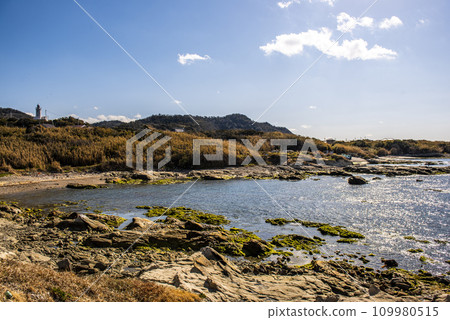 Odaiba Seaside Garden, Tateyama City, Chiba Prefecture 109980515