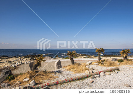 Odaiba Seaside Garden, Tateyama City, Chiba Prefecture 109980516
