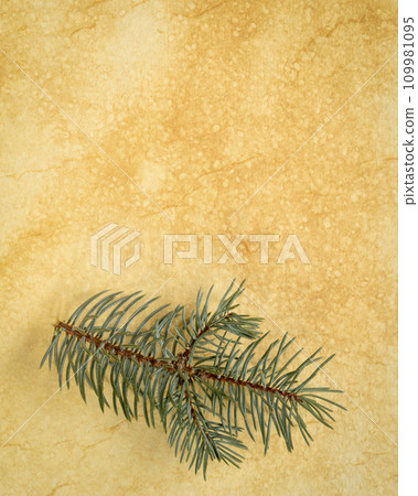 blank tan toned heavyweight vintage handmade paper with a sprig of silver spruce 109981095