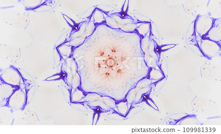 Paint kaleidoscope. Snowflake design. Blue red color ink in water symmetrical geometric ornament on white art illustration abstract free space background. 109981339