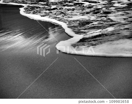 冬季海灘，單色世界 109981658