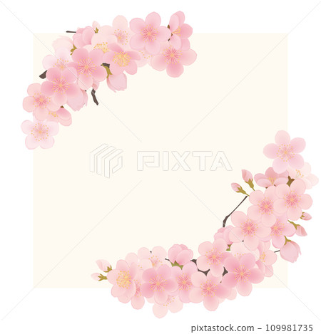 染井吉野櫻花框架材料 109981735