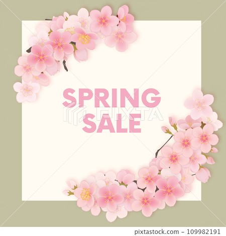 Somei Yoshino cherry blossom frame material 109982191