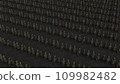 terracotta warriors in a row 3D animation in the dark 109982482