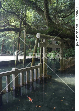 Mitarai Pond at Kashima Shrine, a power spot with a spectacular view in Ibaraki Mitarai Pond at Kashima Shrine, a power spot with a spectacular view in Ibaraki 109982908