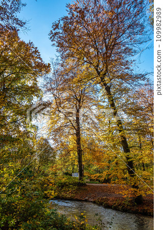 Golden autumn view in famous Munich relax place - Englischer Garten. Munich, Bavaria, Germany Golden autumn view in famous Munich relax place - Englischer Garten. Munich, Bavaria, Germany 109982989