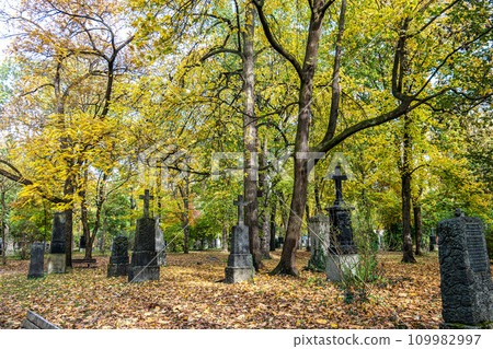 Autumn view of famous Old North Cemetery of Munich, Germany with historic gravestones. 109982997