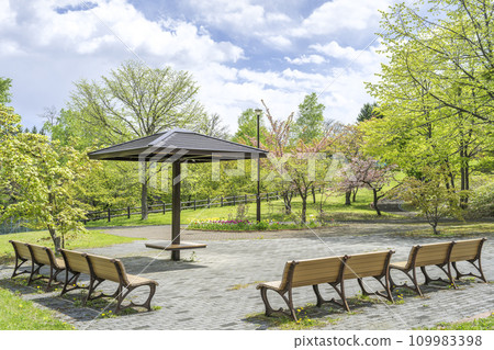 鮮綠的札幌市石山綠地 109983398