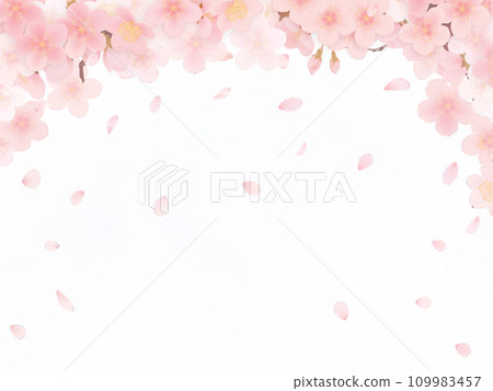 Simple illustration of cherry blossoms in full bloom Simple illustration of cherry blossoms in full bloom 109983457