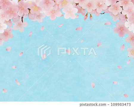 Simple illustration of cherry blossoms in full bloom 109983473