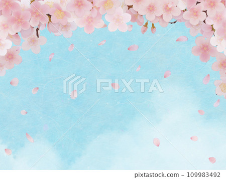 Simple illustration of cherry blossoms in full bloom Simple illustration of cherry blossoms in full bloom 109983492
