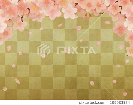 Simple illustration of cherry blossoms in full bloom 109983524