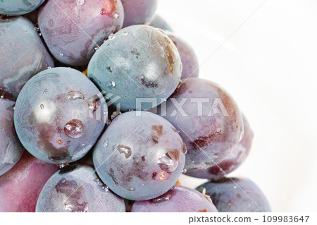 Grape 109983647