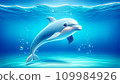 可愛的海豚 109984926