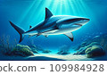 鯊魚漂浮在海裡 109984928