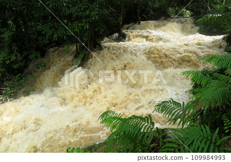 關西瀑布因大雨而水漲(寮國瑯勃拉邦郊區) 關西瀑布因大雨而水漲(寮國瑯勃拉邦郊區) 109984993