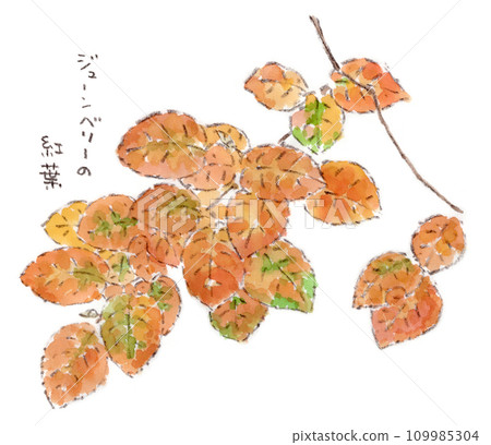 秋天的植物，六月莓秋葉的水彩插圖 109985304