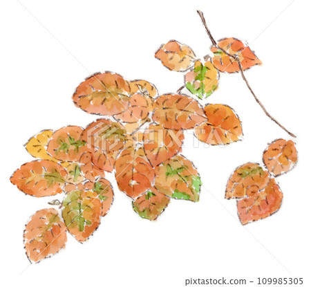 Autumn plants, watercolor illustration of autumn leaves of Juneberry 109985305