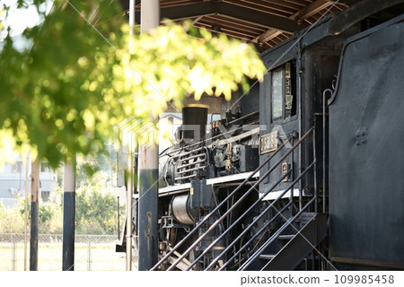 從後面看美麗的蒸汽機車 109985458