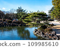 pond and green tree 109985610