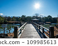 Park's bridge 109985613