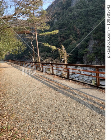 福知山線廢棄線步行 109985642