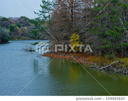 Landscape of snow clouds and reservoir 109985685