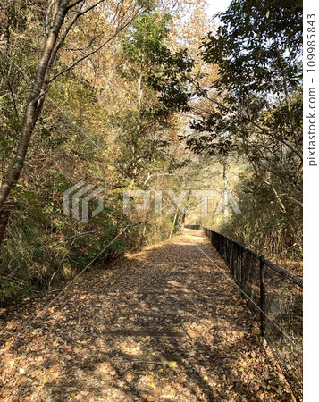 Fukuchiyama Line Abandoned Line Walk Fukuchiyama Line Abandoned Line Walk 109985843
