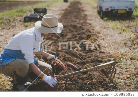 農家 農民 農夫 109986052