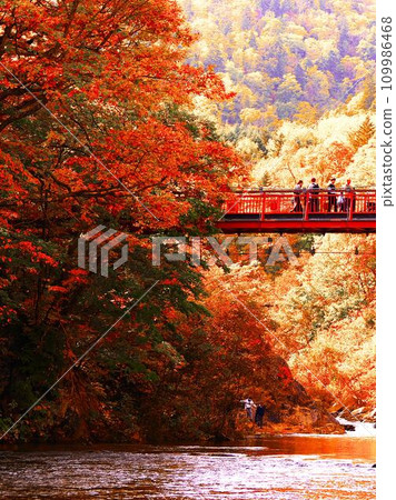 深秋的定山溪溫泉與二見吊橋 深秋的定山溪溫泉與二見吊橋 109986468