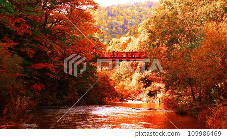 深秋的定山溪溫泉與二見吊橋 深秋的定山溪溫泉與二見吊橋 109986469