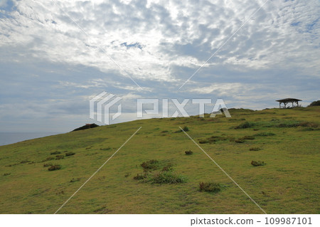 Beautiful cloud scenery above the natural grass meadow of Sakyohana, Iki Island 109987101