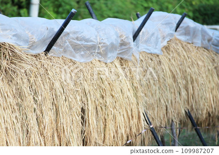 Image of a rich autumn harvest Image of a rich autumn harvest 109987207