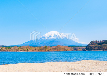 富士山(春天從精進湖) 富士山(春天從精進湖) 109987645