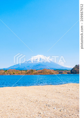 富士山(春天從精進湖) 富士山(春天從精進湖) 109987652