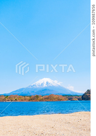 富士山(春天從精進湖) 富士山(春天從精進湖) 109987656