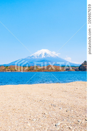 富士山(春天從精進湖) 富士山(春天從精進湖) 109987659