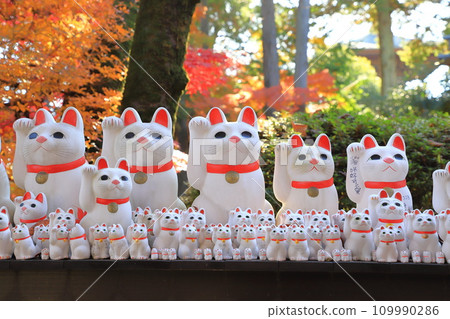 Gotokuji Temple (Manegineko) Gotokuji Temple (Manegineko) 109990286