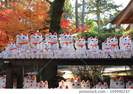 Gotokuji Temple (Manegineko) 109990287