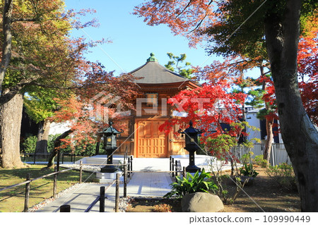 東京都世田谷區豪德寺地藏堂 東京都世田谷區豪德寺地藏堂 109990449
