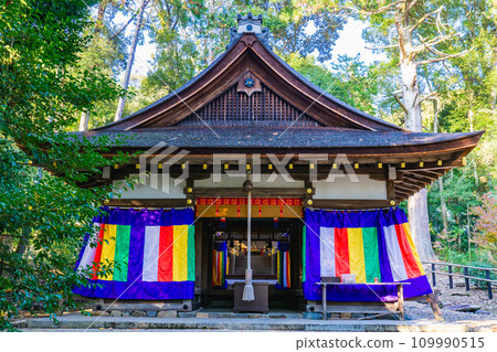 Ota Shrine worship hall in Kamigamo Honzan, Kita Ward, Kyoto City 109990515