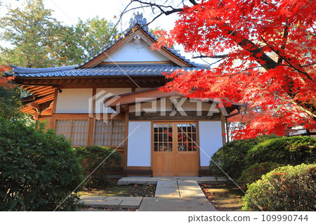 豪德寺茶室「文念」東京世田谷區 豪德寺茶室「文念」東京世田谷區 109990744