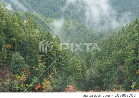 A mountain of rain A mountain of rain 109992708