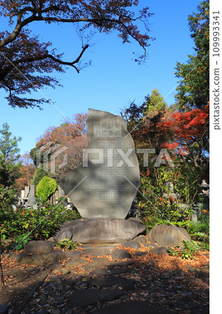 豪德寺「東條劍道士碑」世田谷區 109993341